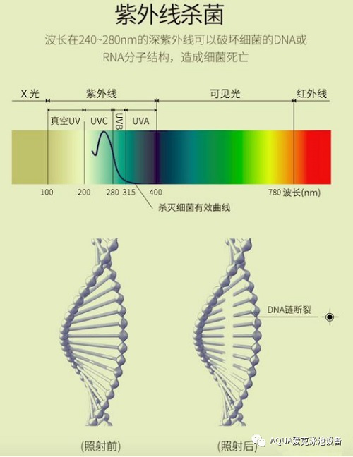 紫外線殺菌原理